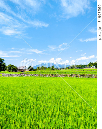 北杜市から望む八ヶ岳 84993560