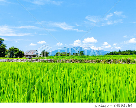 北杜市から望む八ヶ岳 84993564