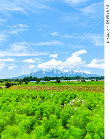 北杜市から望む八ヶ岳 北杜市から望む八ヶ岳 84993643