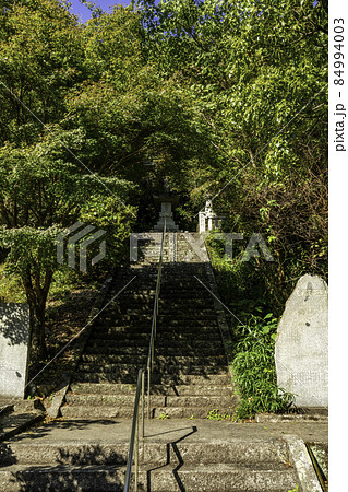 四国八十八箇所3番 金泉寺 忠魂塔 徳島県板野町 四国八十八箇所3番 金泉寺 忠魂塔 徳島県板野町 84994003