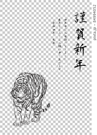 ホワイトタイガー正面線画謹賀新年タテ ホワイトタイガー正面線画謹賀新年タテ 84994052