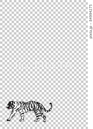 White tiger horizontal vector color small vertical White tiger horizontal vector color small vertical 84994275