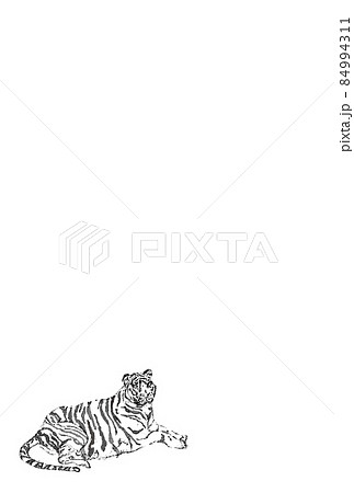 ホワイトタイガー座り線画小タテ 84994311