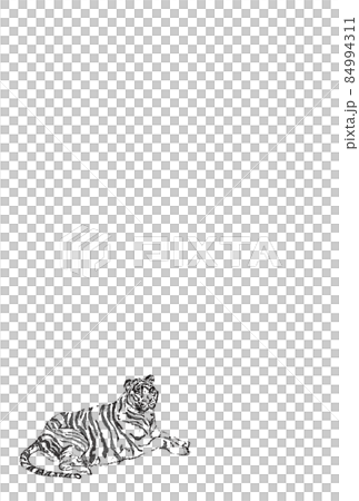 ホワイトタイガー座り線画小タテ 84994311