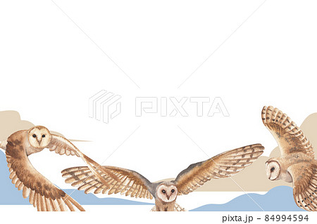 owl bird watercolor frame png 84994594