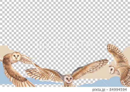 owl bird watercolor frame png owl bird watercolor frame png 84994594