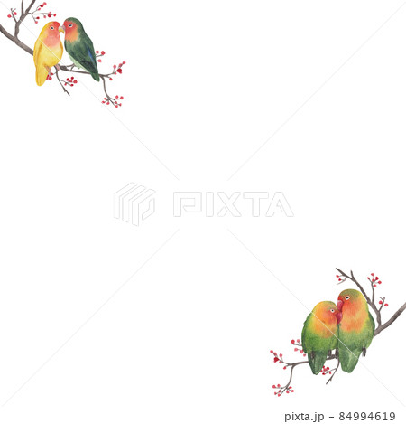 Macaw parrot bird watercolor frame png Macaw parrot bird watercolor frame png 84994619