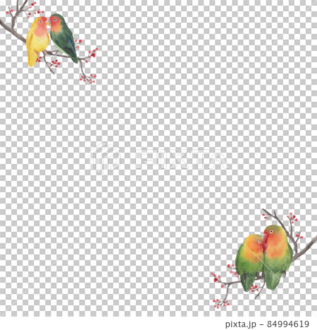 Macaw parrot bird watercolor frame png 84994619