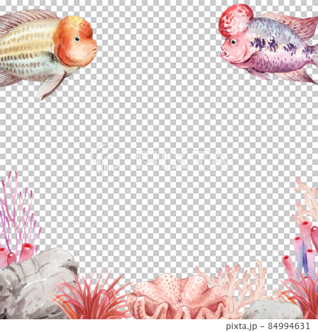 flower horn ciclid fish watercolor frame png flower horn ciclid fish watercolor frame png 84994631