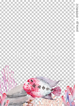 flower horn ciclid fish watercolor frame png flower horn ciclid fish watercolor frame png 84994632
