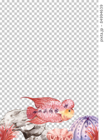 flower horn ciclid fish watercolor frame png flower horn ciclid fish watercolor frame png 84994639