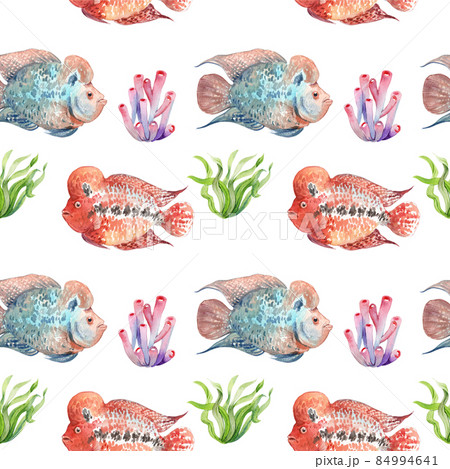 flower horn ciclid fish watercolor pattern seamless png 84994641