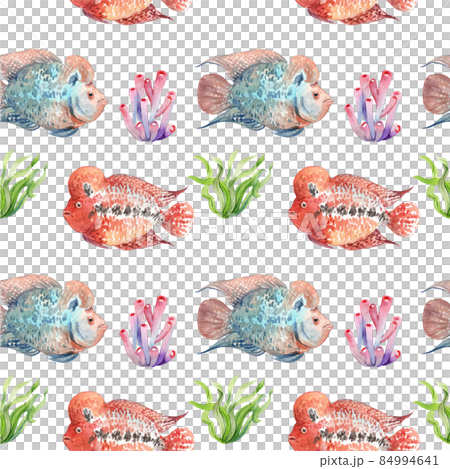 flower horn ciclid fish watercolor pattern seamless png flower horn ciclid fish watercolor pattern seamless png 84994641