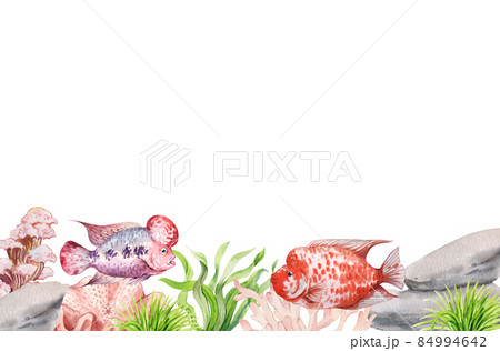 flower horn ciclid fish watercolor frame  png 84994642