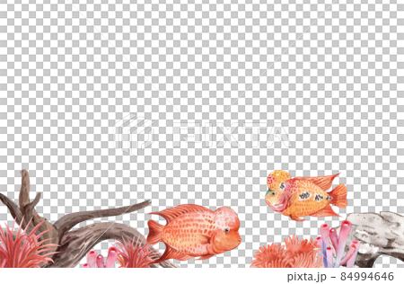 flower horn ciclid fish watercolor frame png flower horn ciclid fish watercolor frame png 84994646