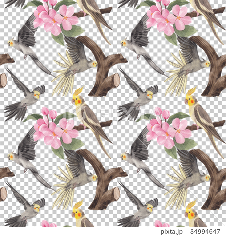Cockatiel parrot bird watercolor pattern seamless  png 84994647