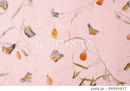 mulberry paper with red and yellow flower petal and seed texture background. 84994837