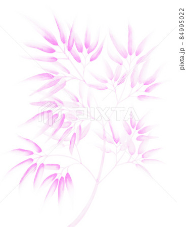 淡い桃色の水墨画っぽい水彩の竹笹イラスト 切抜パス付 背景白 他色有 84995022