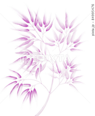 淡くて渋い桃色の水墨画っぽい水彩の竹笹イラスト 切抜パス付 背景白 他色有 茄子紺 なすこん 84995476