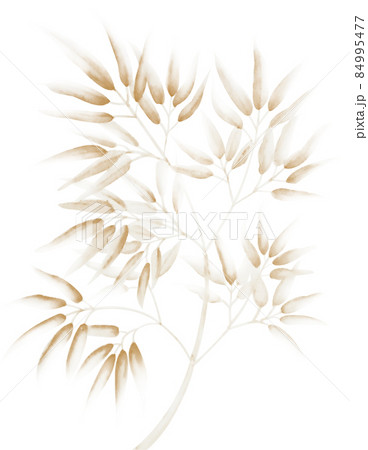 淡くて渋い橙色の水墨画っぽい水彩の竹笹イラスト 切抜パス付 背景白 他色有 丁字染 ちょうじぞめ 84995477