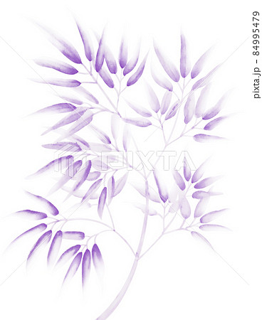 淡くて渋い紫色の水墨画っぽい水彩の竹笹イラスト 切抜パス付 背景白 他色有 84995479