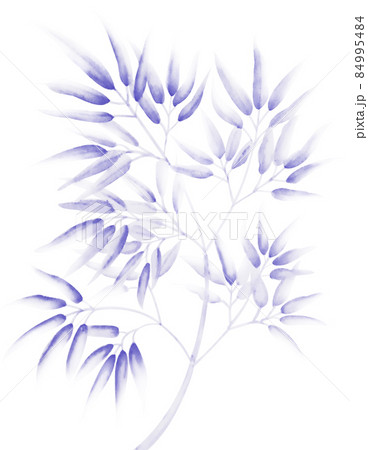 淡くて渋い青紫色の水墨画っぽい水彩の竹笹イラスト 切抜パス付 背景白 他色有 紺青 こんじょう 淡くて渋い青紫色の水墨画っぽい水彩の竹笹イラスト 切抜パス付 背景白 他色有 紺青 こんじょう 84995484
