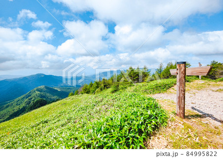 信州ビーナスライン・茶臼山登山　山頂の風景 84995822