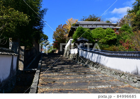 秋の杵築城下町　武家屋敷 84996685