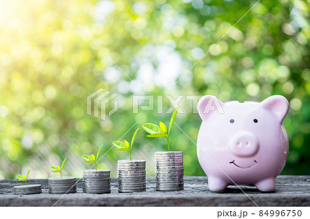 Growing plants on coins stacked with piggy bank on green blurred backgrounds, Money growing concept,Business success concept. Growing plants on coins stacked with piggy bank on green blurred backgrounds, Money growing concept,Business success concept. 84996750