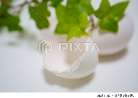 卵の殻と鶏卵とグリーン 卵の殻と鶏卵とグリーン 84996896