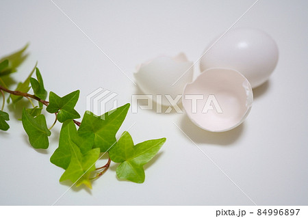 卵の殻と鶏卵とグリーン 84996897