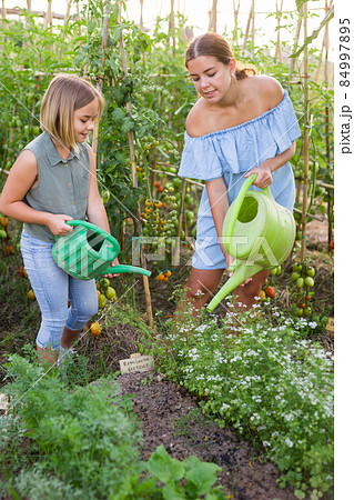 Mother and daughter watering plants Mother and daughter watering plants 84997895