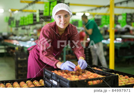 Woman checking and marking peaches in boxes, working at warehouse 84997971