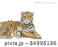 年賀状「寅の親子」（HAPPYNEWYEAR）横 84998186