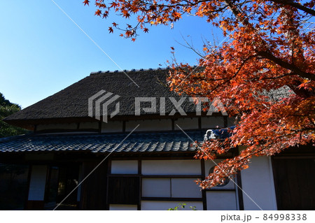 秋の杵築城下町 武家屋敷 秋の杵築城下町 武家屋敷 84998338