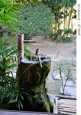 秋の杵築城下町　武家屋敷 84998530