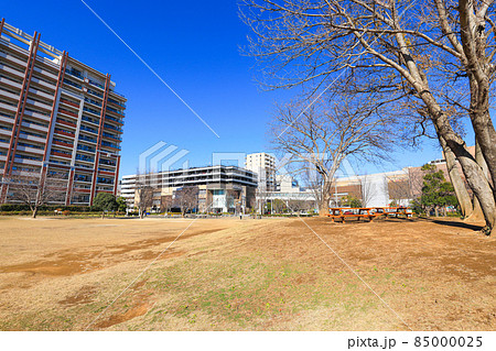 【千葉県流山市】流山おおたかの森駅南口公園 西初石近隣公園の風景 85000025