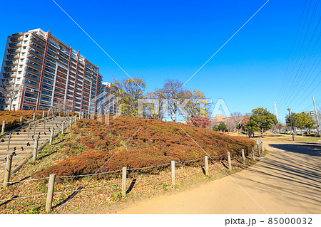 【千葉県流山市】流山おおたかの森駅南口公園 西初石近隣公園の風景 85000032