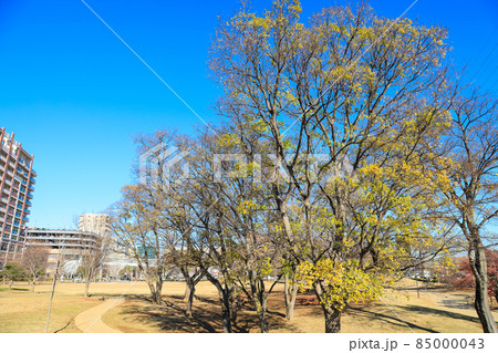 【千葉県流山市】流山おおたかの森駅南口公園 西初石近隣公園の風景 【千葉県流山市】流山おおたかの森駅南口公園 西初石近隣公園の風景 85000043