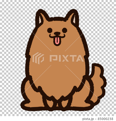 かわいいポメラニアン 茶色のイラスト素材