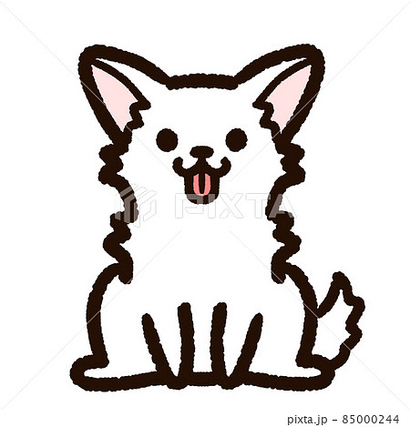 かわいいチワワ 白のイラスト素材