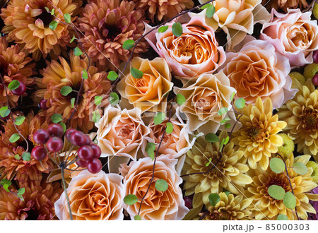 ストライプにデザインされた花。赤、ピンク、黄色、オレンジ色の花 ストライプにデザインされた花。赤、ピンク、黄色、オレンジ色の花 85000303