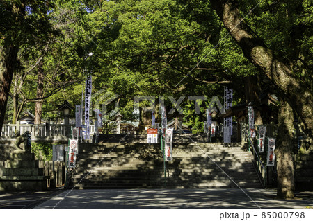 大麻比古神社 参道 徳島県鳴門市 大麻比古神社 参道 徳島県鳴門市 85000798