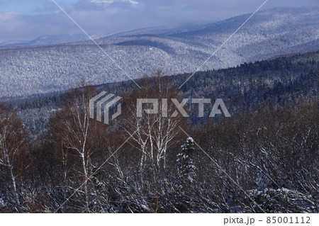 雪景色 85001112