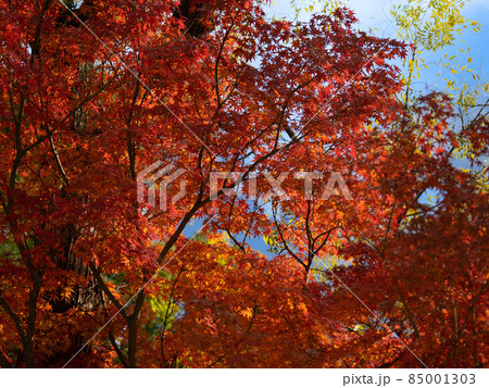 桑名九華公園 桑名城跡 桑名九華公園 桑名城跡 85001303