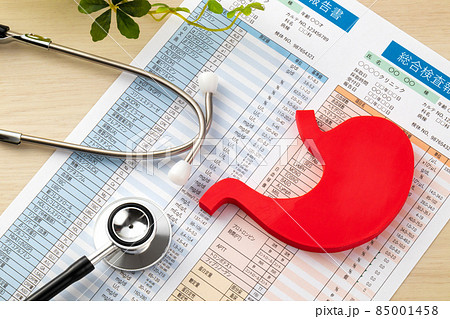 胃の模型　血液検査報告書　医療イメージ写真　 85001458