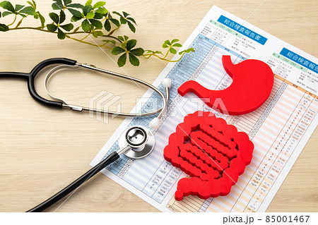 腸と胃の模型 血液検査報告書 医療イメージ写真 腸と胃の模型 血液検査報告書 医療イメージ写真 85001467