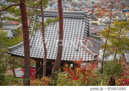 関善光寺(宗休寺) 岐阜県関市 関善光寺(宗休寺) 岐阜県関市 85001886