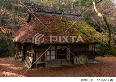 奈良公園 紅葉満開の水谷茶屋 奈良公園 紅葉満開の水谷茶屋 85002336