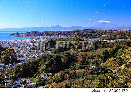 鎌倉の秋　衣張山からの絶景　相模湾と富士箱根 85002470